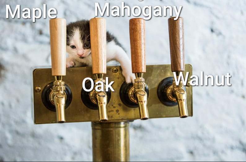 Puede incluir: Un gatito blanco y negro est&aacute; encaramado en un conjunto de cuatro grifos de cerveza dorados. Los grifos est&aacute;n etiquetados como "Maple", "Mahogany", "Oak" y "Walnut".