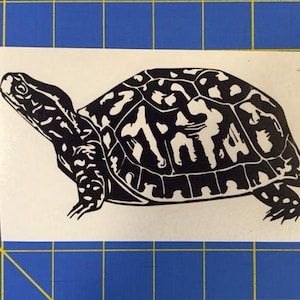 Pegatina/calcomanía de tortuga de caja 3x6