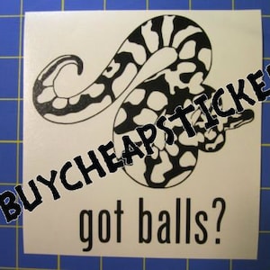 Ball Python Snake Decal/Sticker Got Balls? 5X5