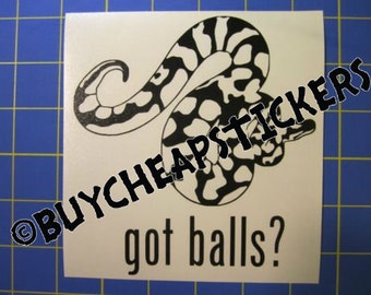 Ball Python Snake Decal/Sticker Got Balls? 5X5