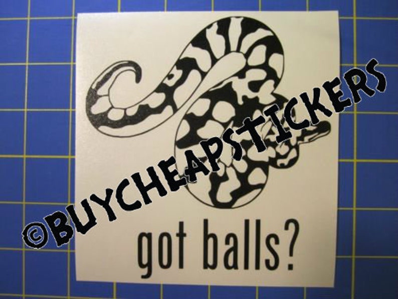 Ball Python Snake Decal/sticker Got Balls? 5X5 - Etsy