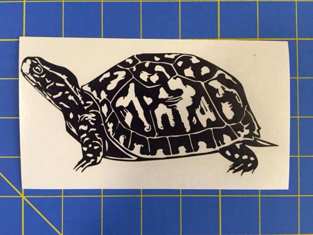 Turtlebox Graphics Box Turtle Decal/sticker 3X6 - Etsy