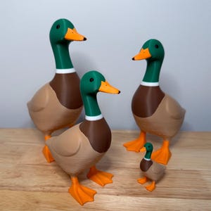 May include: A group of four mallard duck figurines of varying sizes. Each duck features a green head, a white neck ring, a brown chest, tan wings and body, and bright orange feet and beaks. The ducks are arranged in a cluster with three larger figures and one smaller figure.