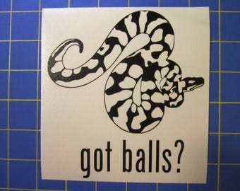 Ball Python Snake Decal/Sticker Got Balls? 5X5