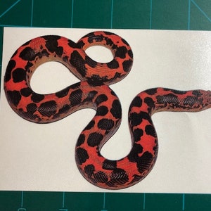 Sand Boa Snake Decal/Sticker 4x5.5