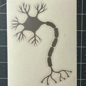 Neuron Decal/Sticker