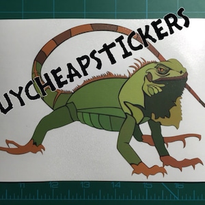 Iguana - Lizard  Decal/Sticker 5x7