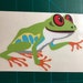 see more listings in the Frogs section