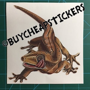 Calcomanía #2 crested Gecko/Pegatina 5X5