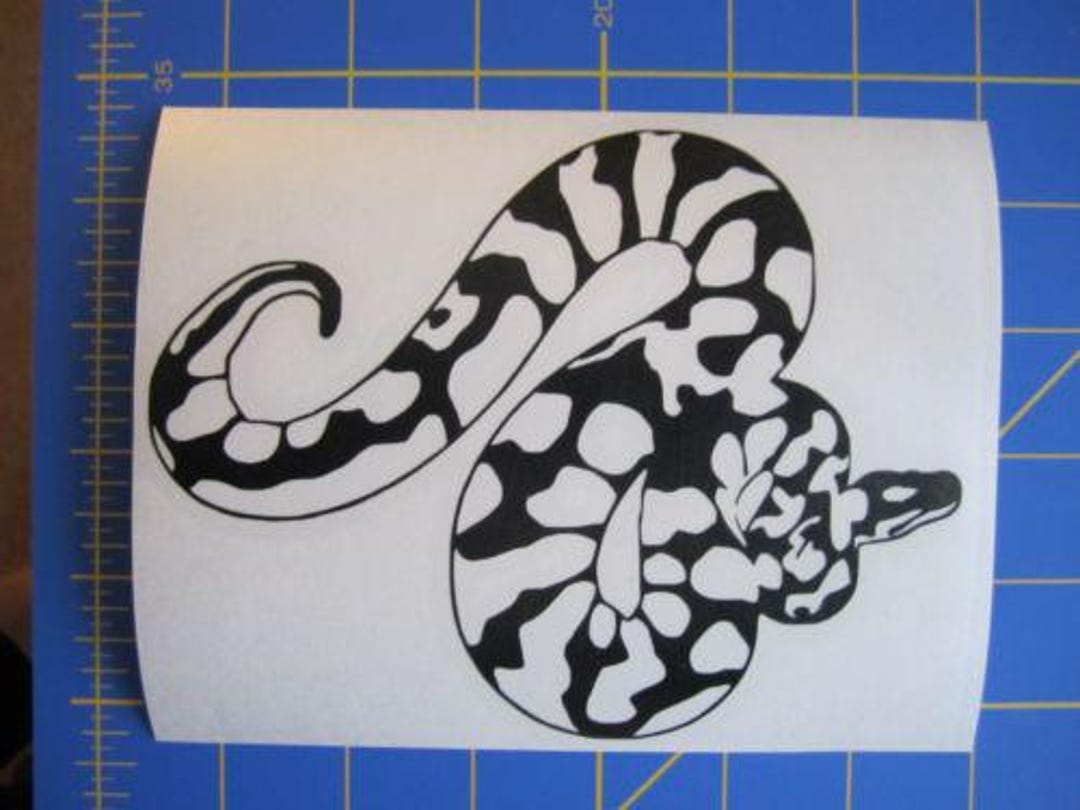 Ball Python Snake Decal/sticker 5X6 - Etsy