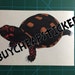 see more listings in the Turtle/Tortoise section