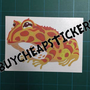 Albino Pacman Frog Decal/Sticker 4X5