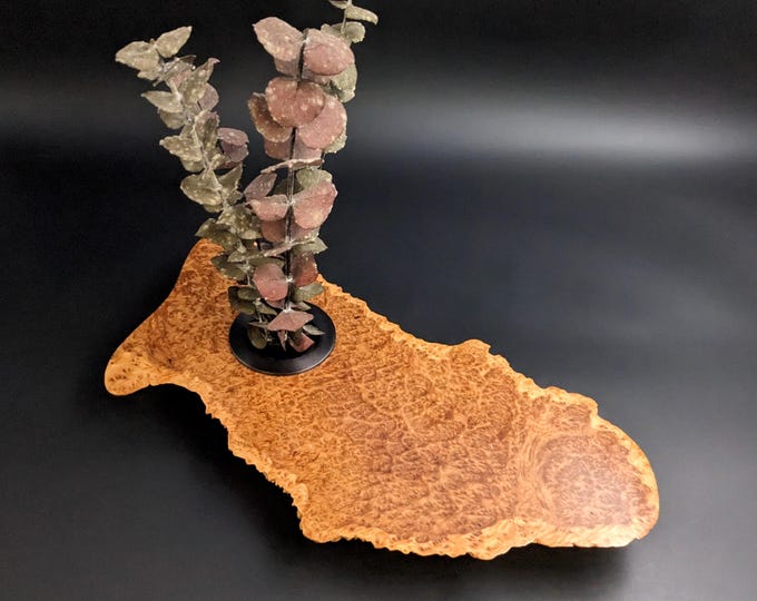 Featured listing image: Eucalyptus Burl Natural Edge Free Form Ikebana Vase Water Holding Solid Brass w/ Black Pewter Finish Kenzan Pin Frog. EI-111425