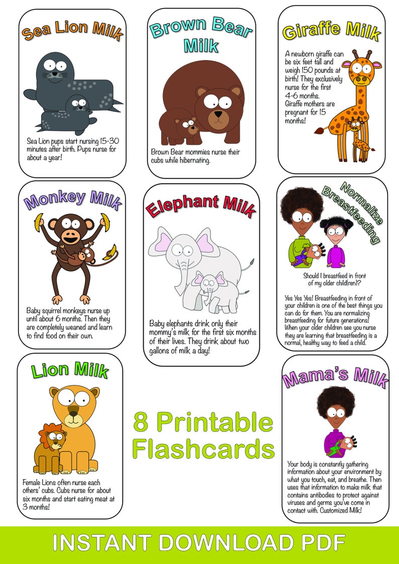 Breastfeeding Fun Facts Flashcards/Instant Etsy