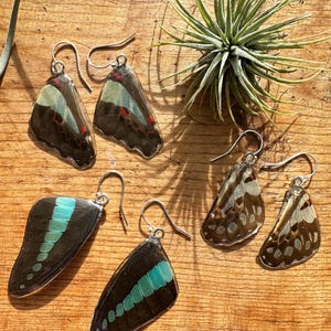 Può includere: Sei paia di orecchini con ali di farfalla con ganci d'argento sono esposti su una superficie di legno. Le ali presentano vari motivi neri, marroni, turchesi, rossi e bianchi. Una pianta verde è sullo sfondo.