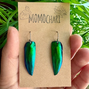 Puede incluir: Un par de pendientes de alas de escarabajo verde iridiscente con ganchos de plata. Los pendientes se muestran en una tarjeta marrón con el texto "MOMOCHARI" impreso en ella.
