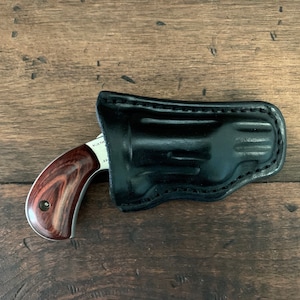 NAA Leather Holster for Sidewinder