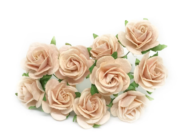 1 Blush Paper Flowers Blush Pink Paper Flowers Etsy