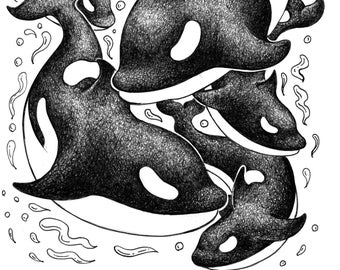 Original Drawing - Killer Whales