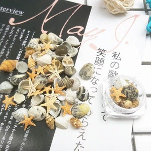 May include: A small clear container filled with seashells and starfish. The container is on a white surface with Japanese text that reads "My song, smile, became a star".