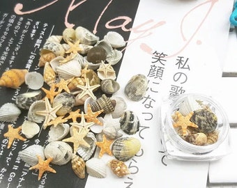 1Jar Nail Art Shell Trumpet Conch Starfish Shell Small Shell set BJ57