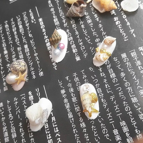 1jar Nail Art Shell Trumpet Conch Starfish Shell Small Shell Etsy