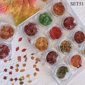 1Set Colorful Special Paper Slices Non-adhesive Nail Art Pieces Maple Leaf Shape SET51