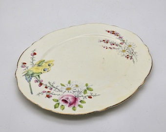 Paragon Oval Teaplate - Commemorate Birth Of Princess Margaret Rose