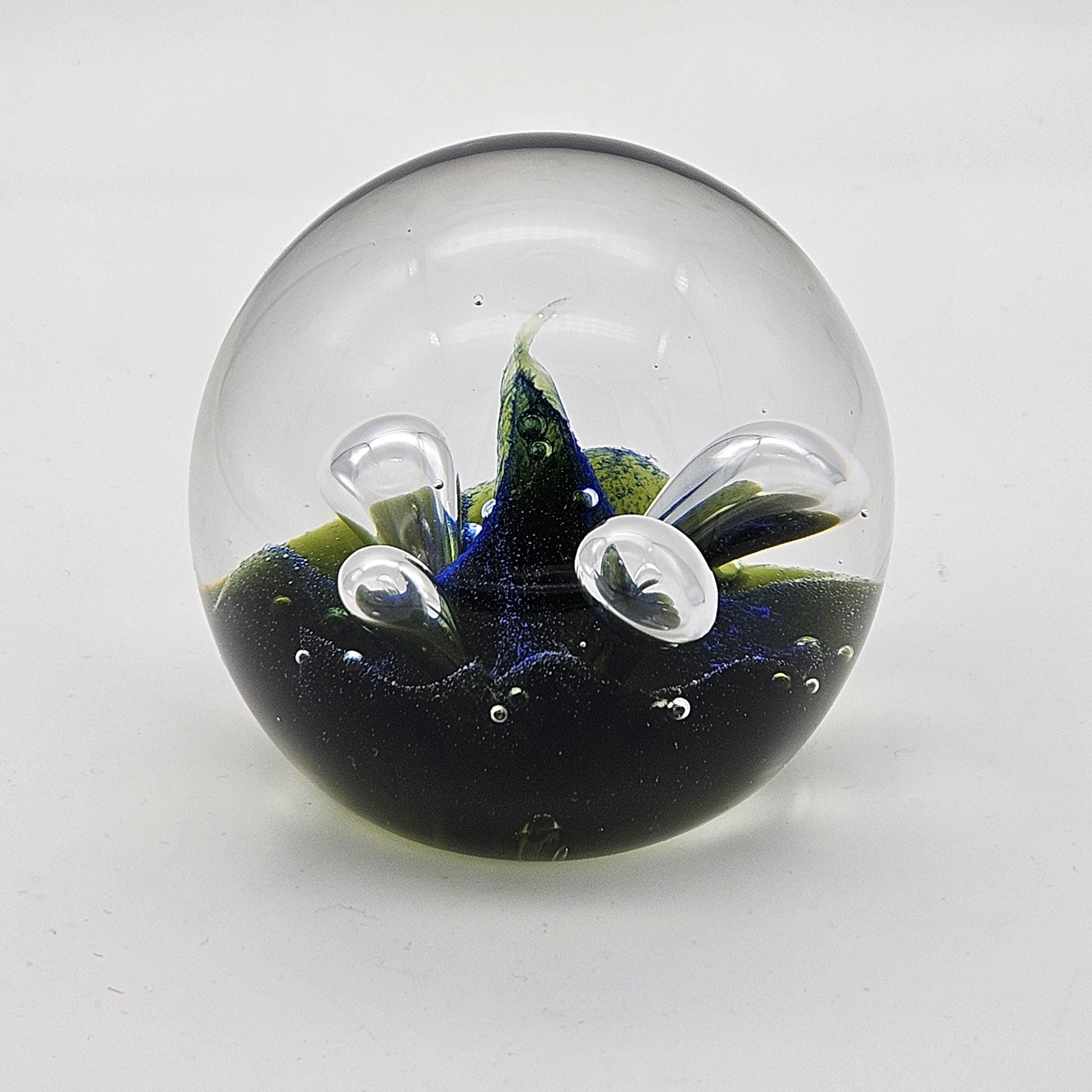 Caithness Paperweight With Box - Etsy