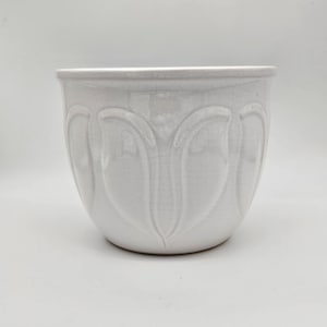 Puede incluir: Maceta de cerámica blanca con un diseño decorativo de hojas. La maceta es redonda y tiene una abertura ancha.