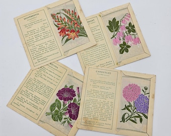 kensitas flowers cigarette cards value Kensitas Silk Flowers Cigarette Cards C1930s - Medium, 1st Series