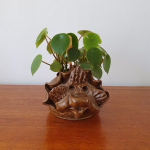 Peut inclure: Un pot en céramique brun en forme de visage avec une plante verte feuillue qui pousse à l'intérieur.