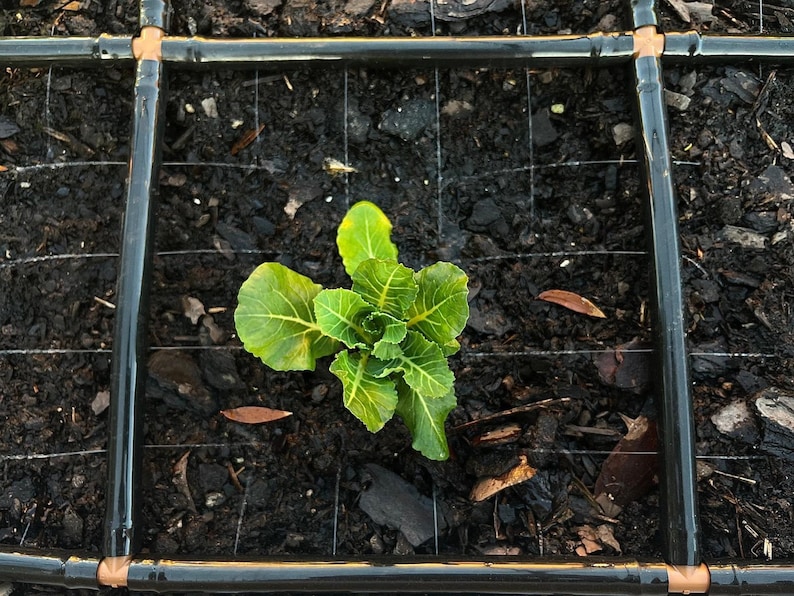 GardenInMinutes Garden Grid Watering System - Thumbnail 2