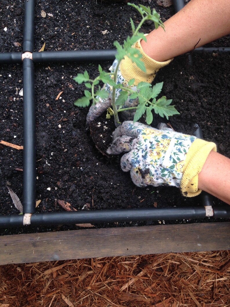 4 x8 raised bed garden kits on 3x6 Cypress Raised Garden Kit With Watering System Etsy