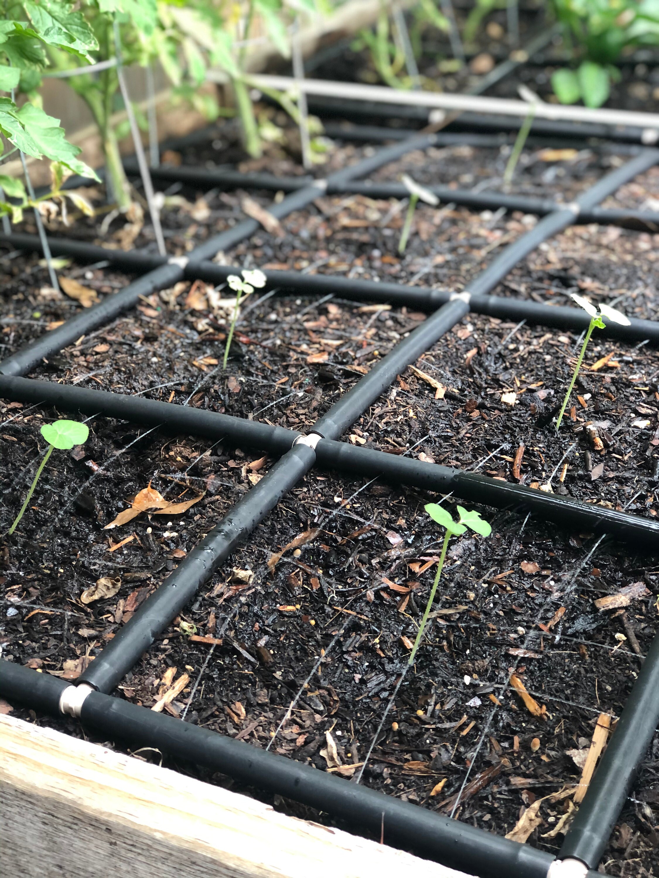 4x6 Garden Grid™ watering system Garden irrigation system | Etsy