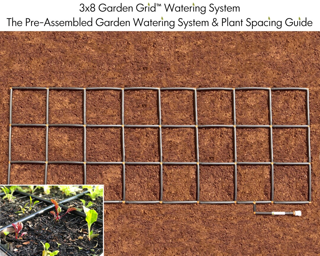 3x8 Garden Grid™ Watering System Garden Irrigation System and Planting