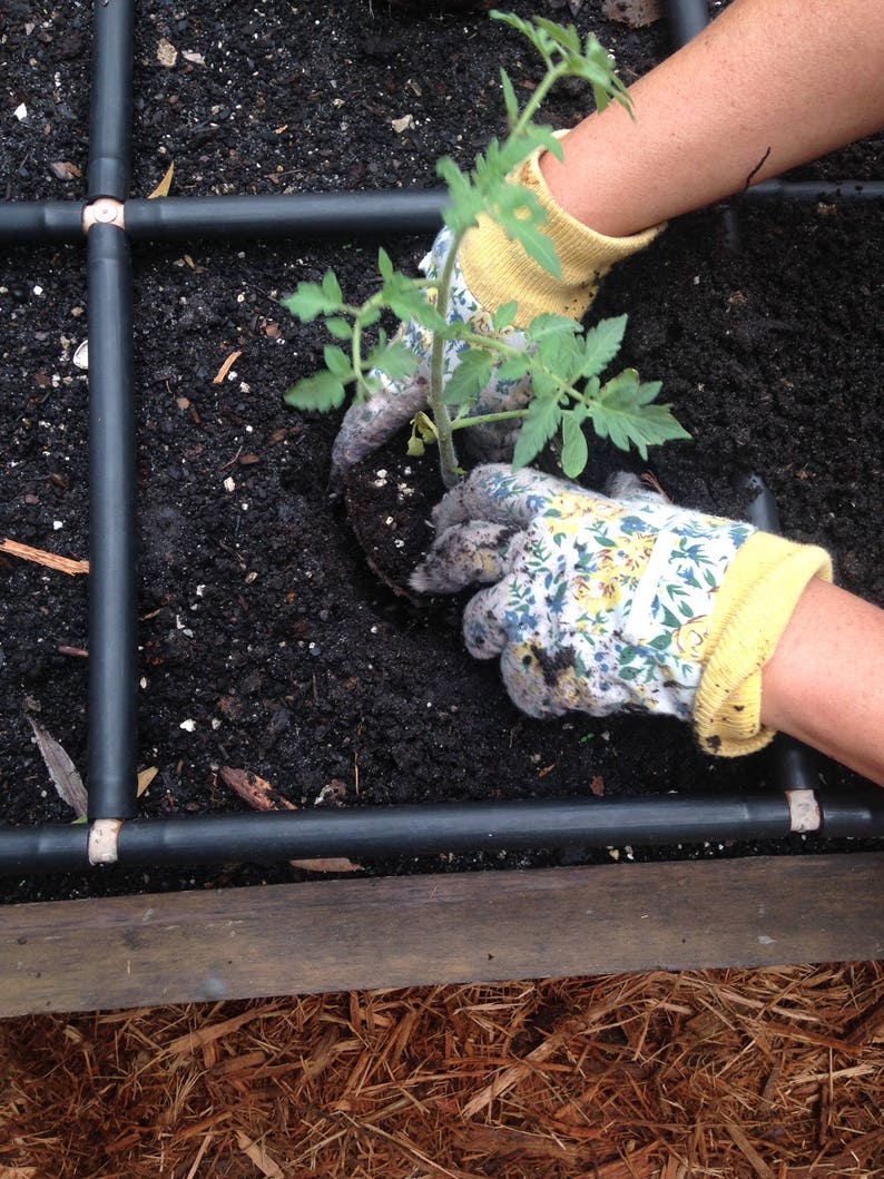 1x4 Garden Grid\u2122 watering system Garden Irrigation System and Planting Grid in one