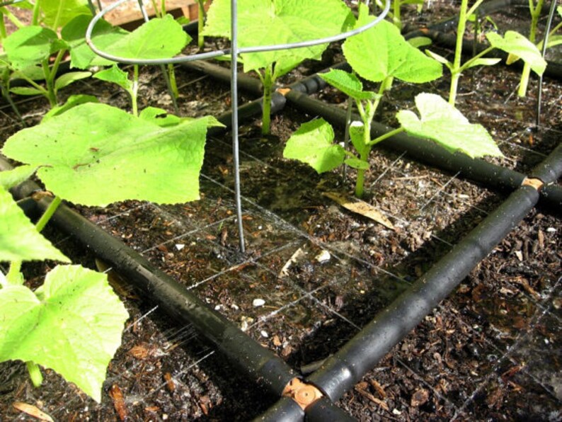 1x4 Garden Grid\u2122 watering system Garden Irrigation System and Planting Grid in one