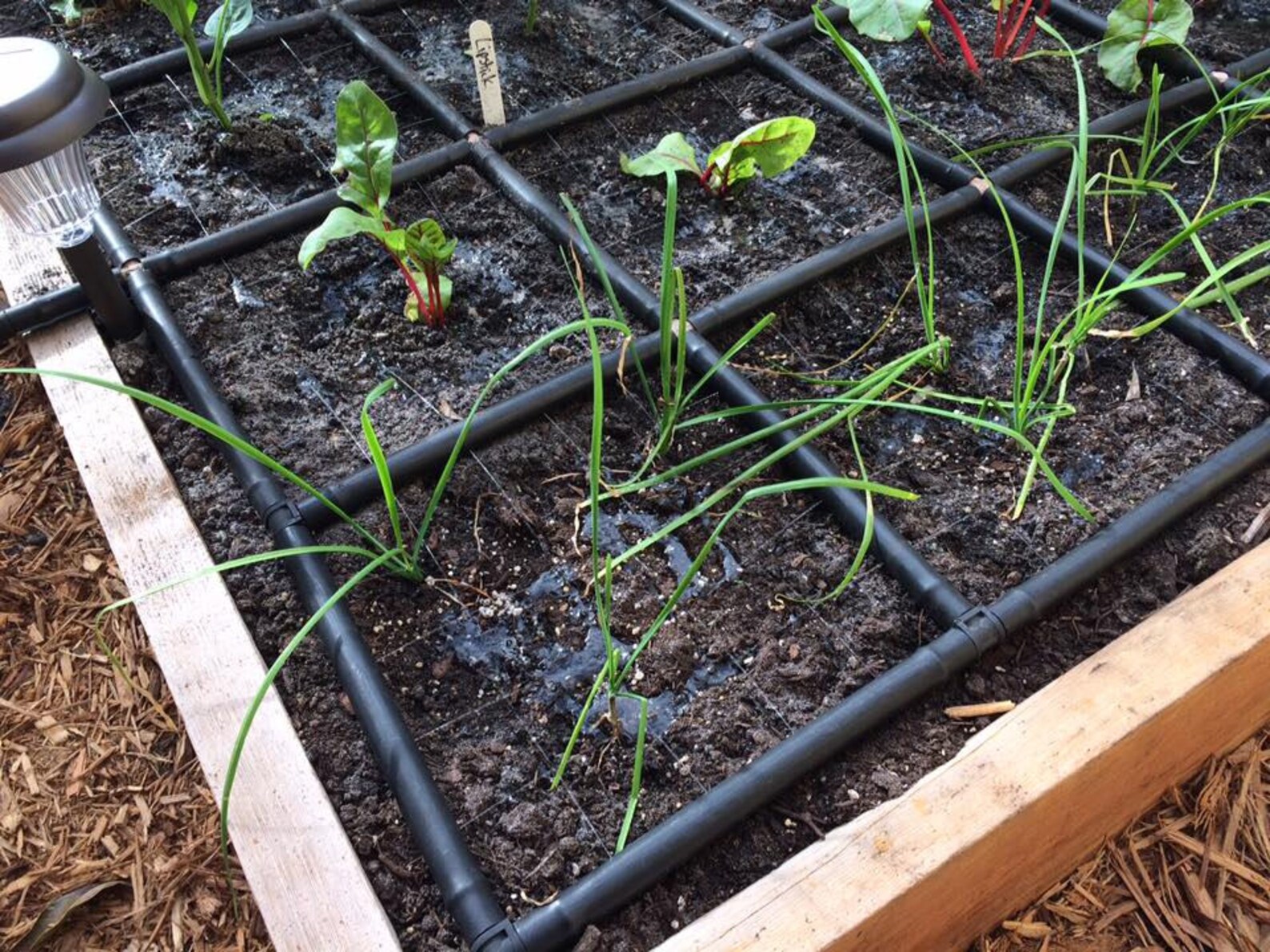 Diy Garden Grid Watering System 2x4 Garden Grid™ watering system Garden irrigation system