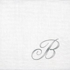 Monogrammed Beverage Napkins 3 Different Paper Grade Napkins with Quill Silver Font image 1