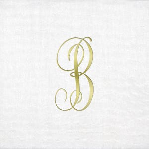 Monogrammed Beverage Napkins - 3 Different Paper Grade Napkins with Antoinette Gold Font