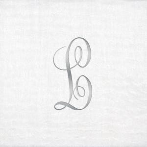 Monogrammed Beverage Napkins 3 Different Paper Grade Napkins with Antoinette Silver Font image 6