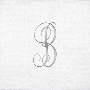 Monogrammed Beverage Napkins 3 Different Paper Grade Napkins with Antoinette Silver Font image 1