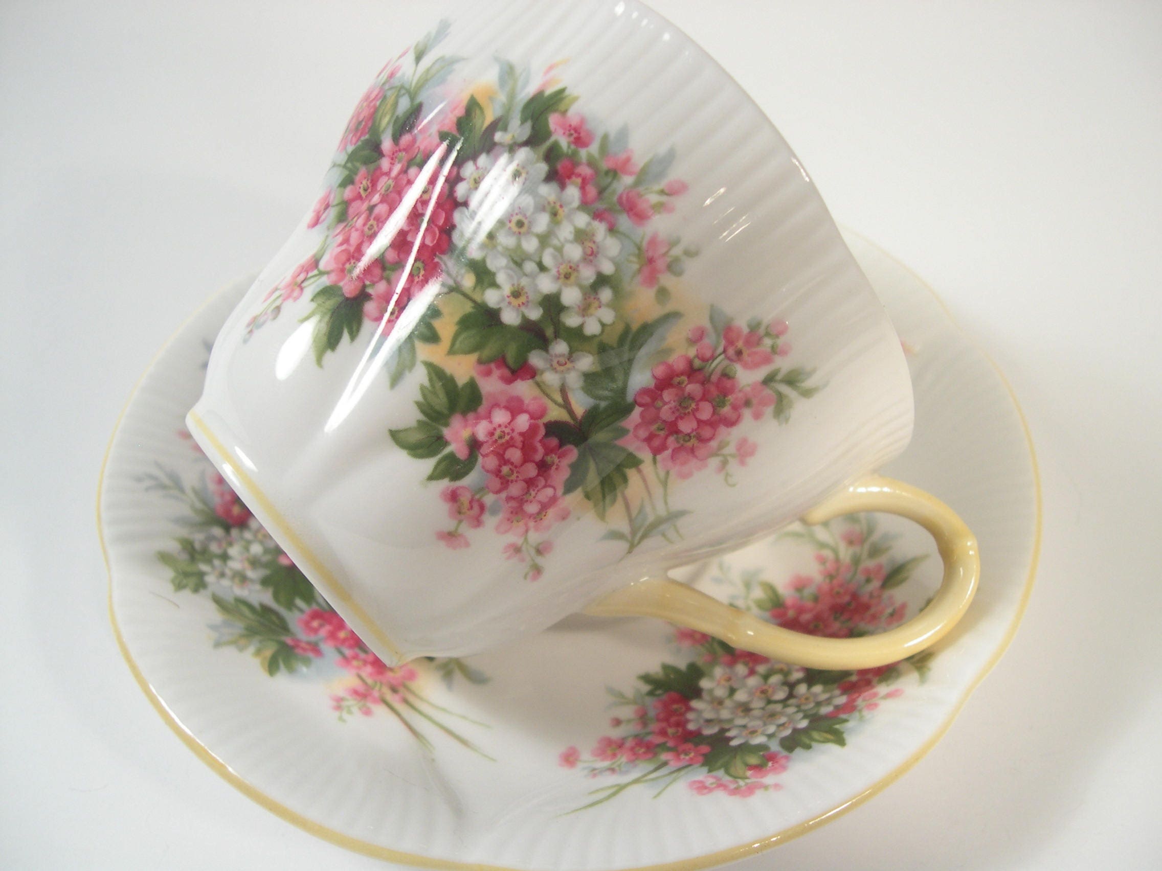 Royal Albert Blossom Time Series Tea Cup and Saucer, Hawthorne Tea Cup