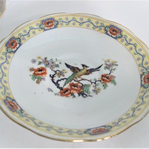 Royal Albert Bird od Paradise Tea Cup and Saucer, 1920's Royal Albert hand painted teacup and saucer set. image 4