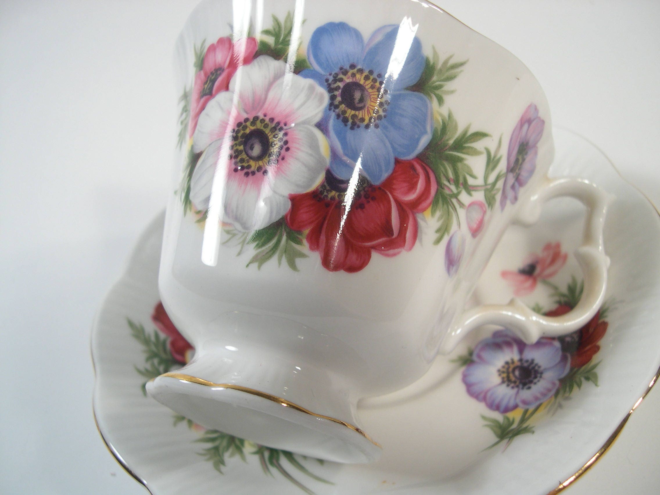 Royal Albert Tea Cup and Saucer, White With Pink, White and Blue