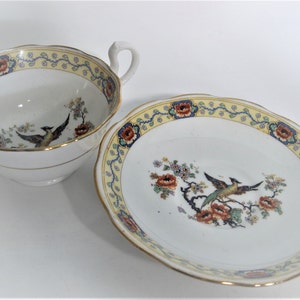 Royal Albert Bird od Paradise Tea Cup and Saucer, 1920's Royal Albert hand painted teacup and saucer set. image 3