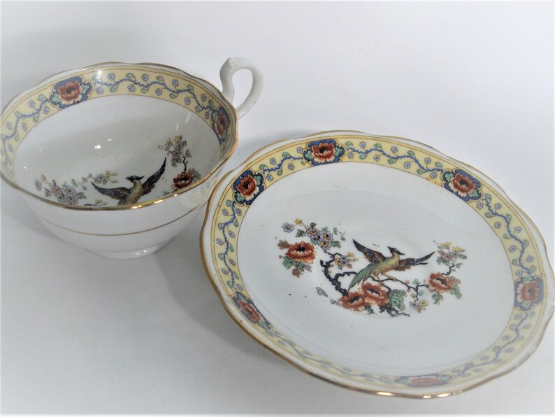 Royal Albert Bird od Paradise Tea Cup and Saucer, 1920's Royal Albert hand painted teacup and saucer set. image 3