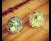 Hop Cufflinks