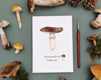 Mushroom Illustrated Print, Toadstool Art, Botanical Art, Watercolour Print, Cottagecore Art, Botanical Illustration, Home Decor